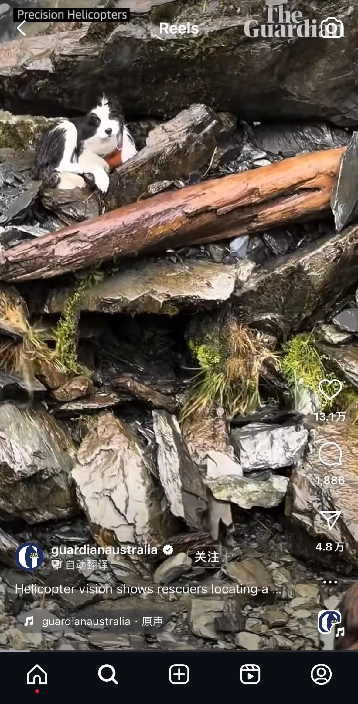 我上网就是来看这个🥺