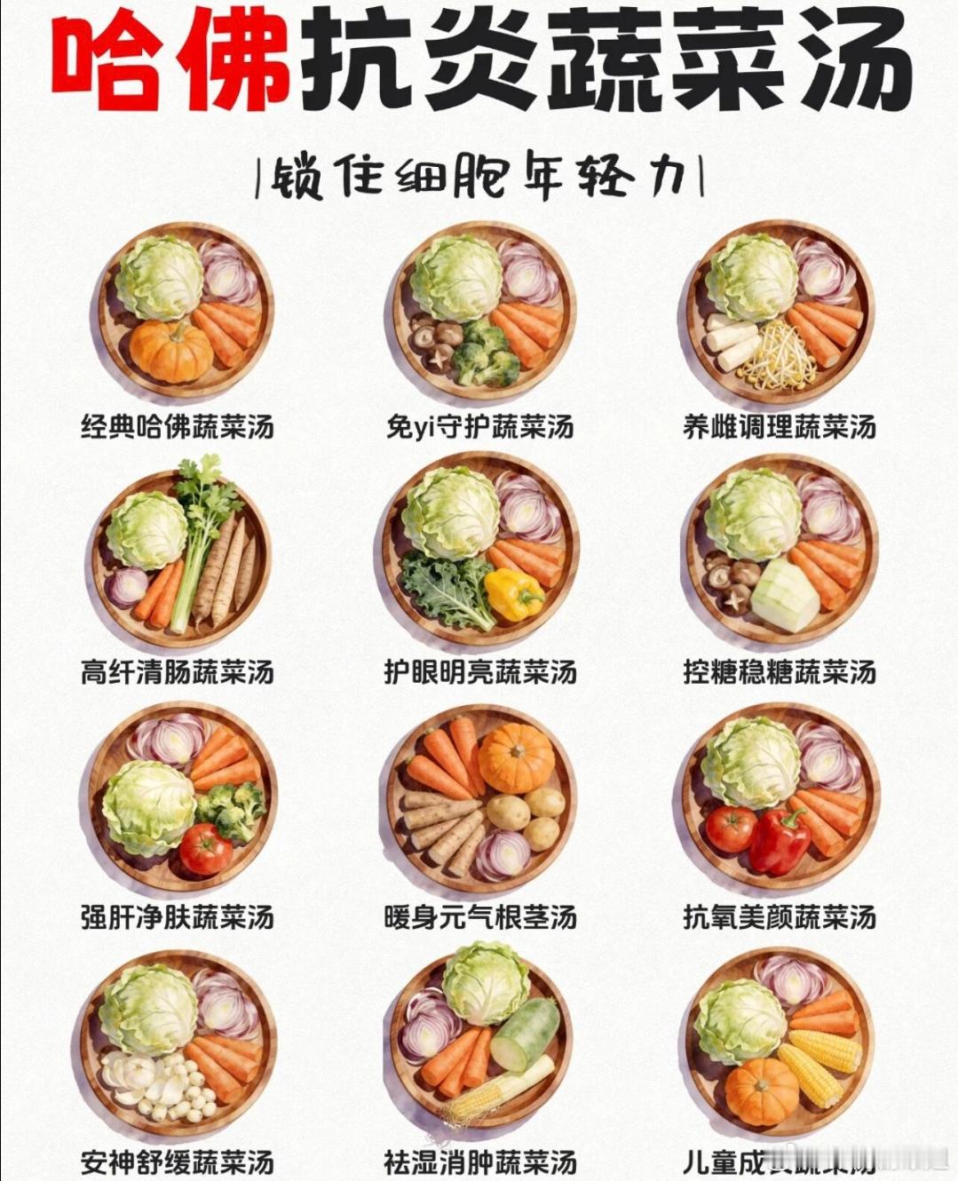 这不是兔子最喜欢的实物吗？