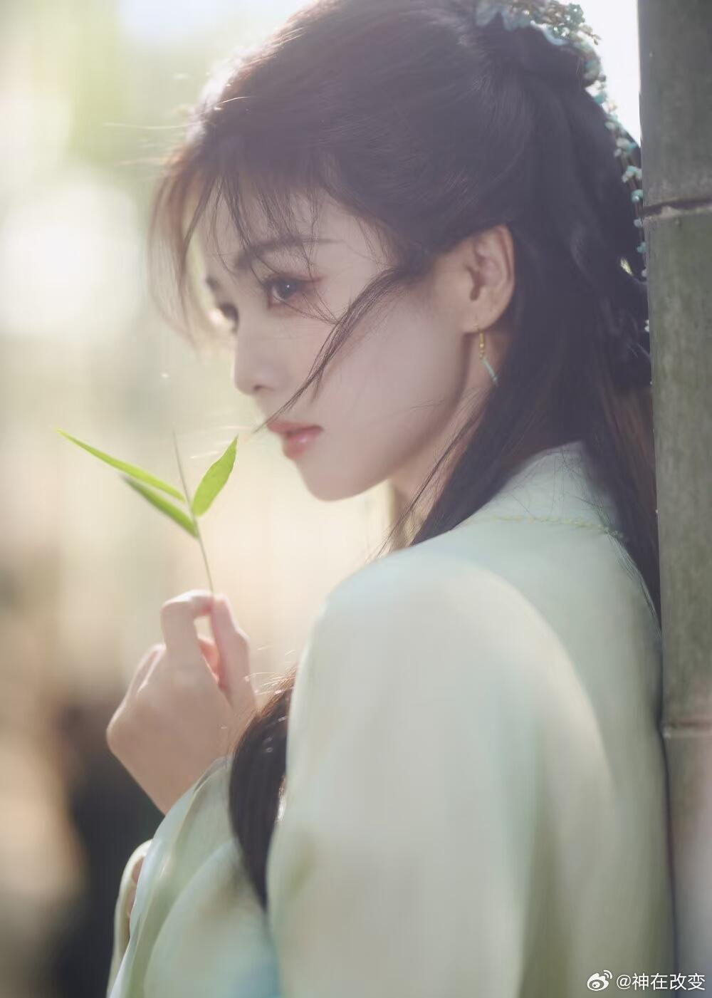 白鹿白鹿｜一眼心动的温柔瞬间白鹿｜