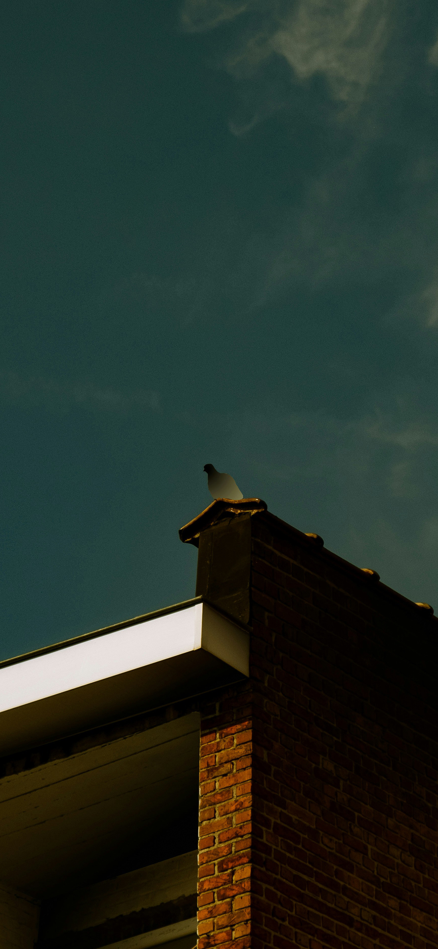 莱分享今日iPhone壁纸分享