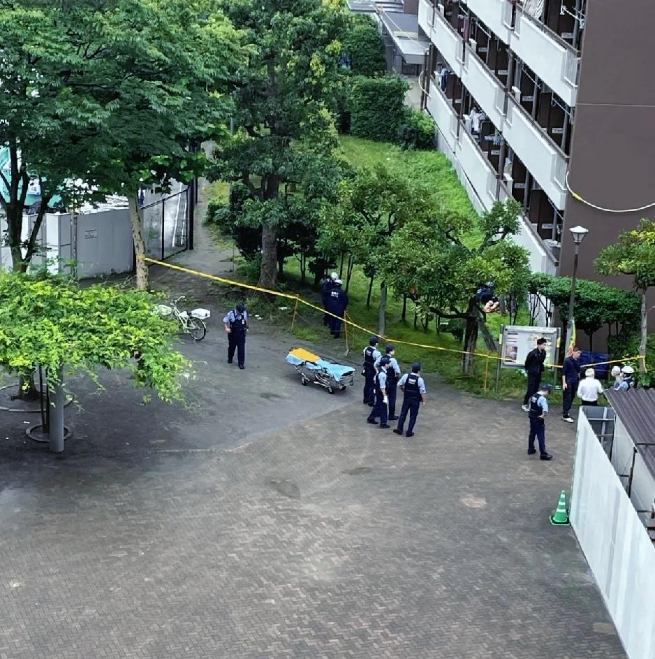 16岁女孩坠亡：被成绩绑架的青春，再也等不到一句鼓励昨晚，邻居家16岁女儿