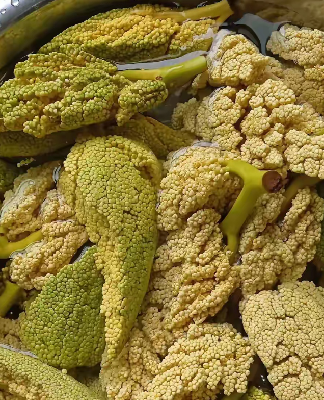 这是哪里的特色美食？看着有点奇怪！