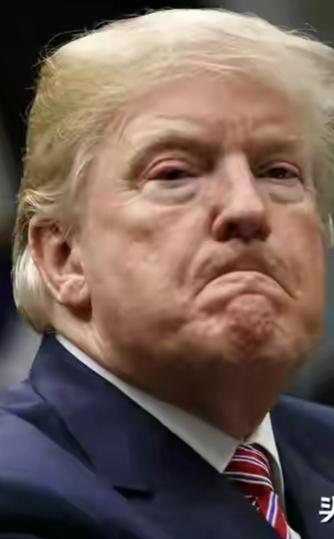 特朗普10月2日发推文称：“我们国家的大豆农民正遭受损失，因为中国仅仅出于‘谈判