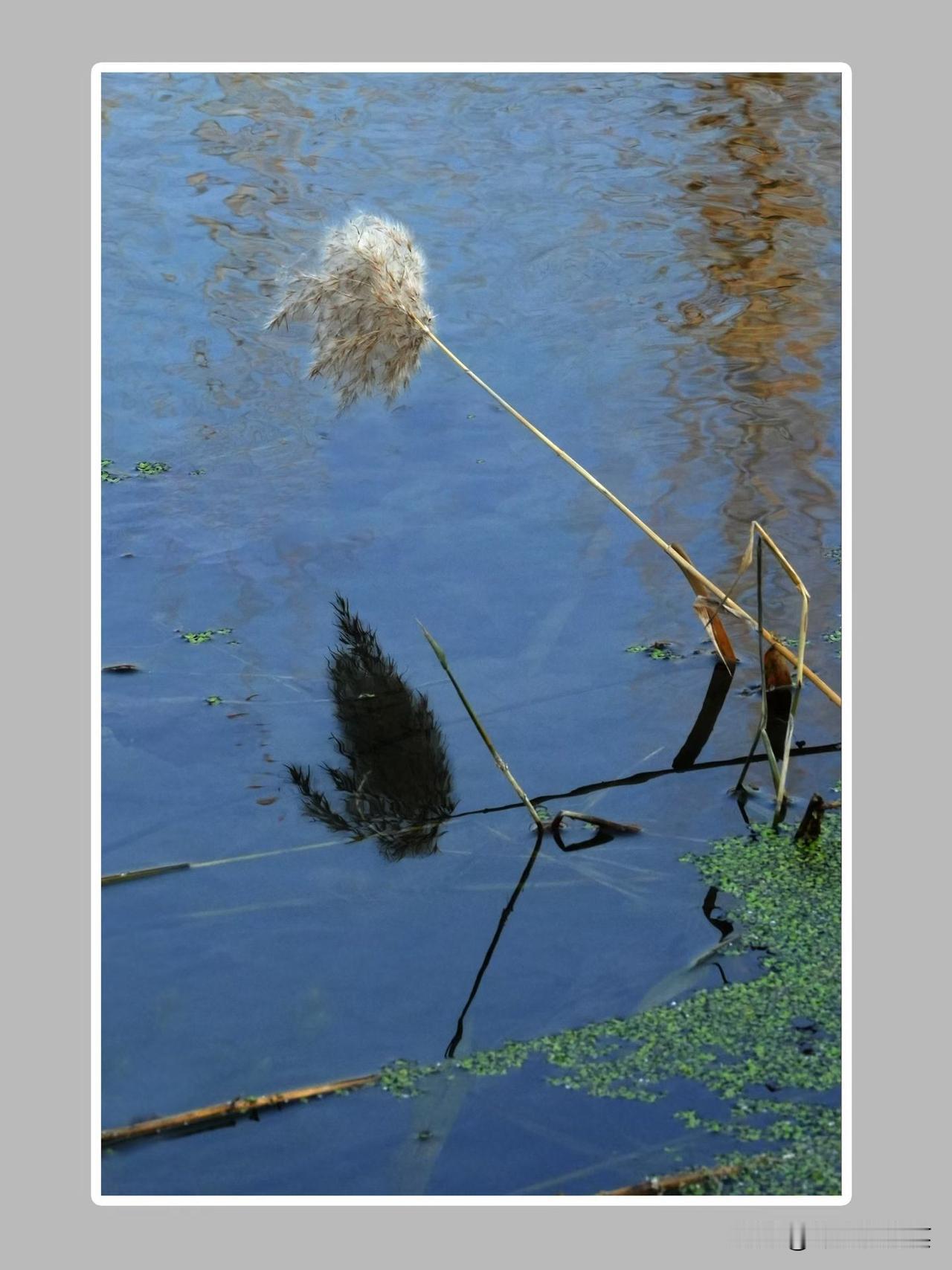 “人只要死了，你活着的时候积攒的除了金钱、古董字画、知识产权、黄金、债券、股票、