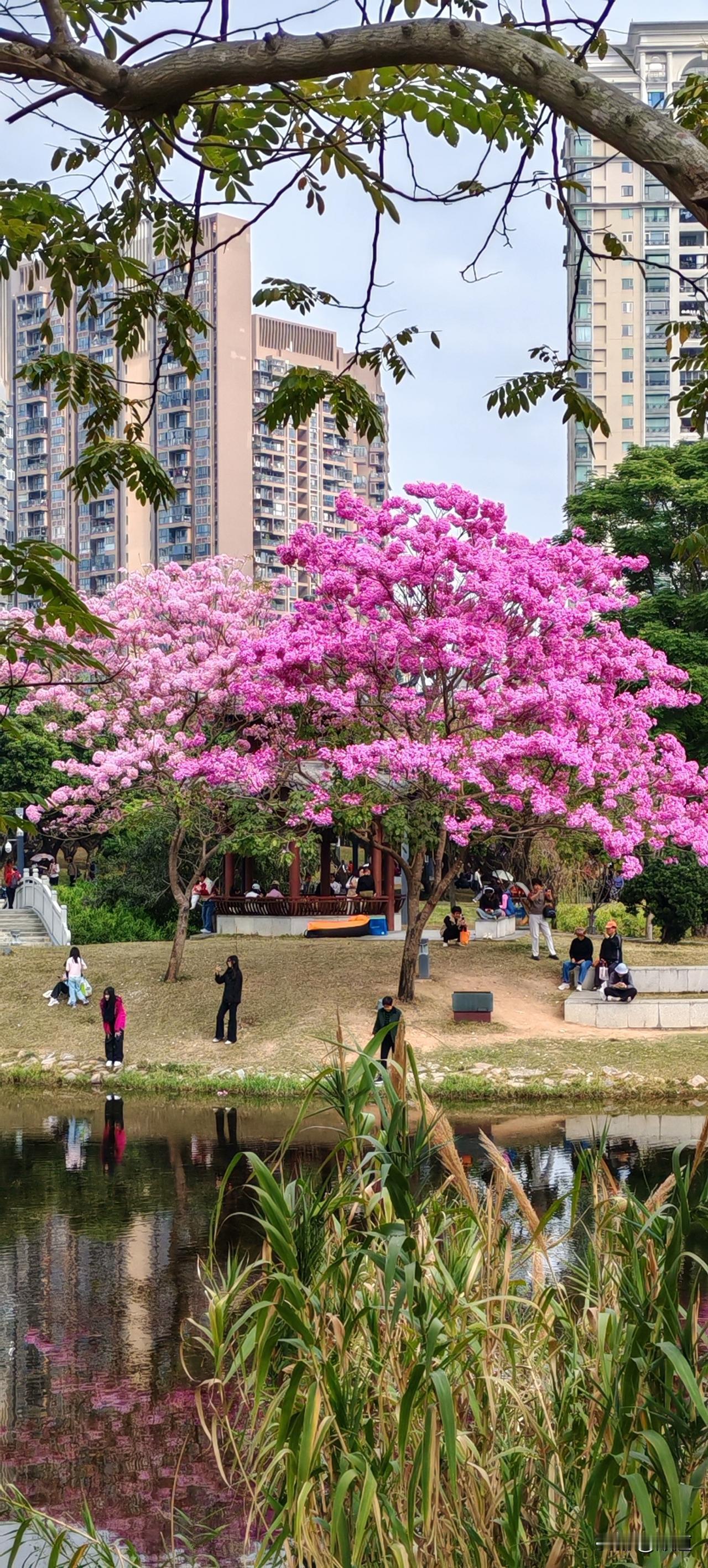 64岁离异大姐15年前和一个小她8岁的男人在一起了。当时这个男人的媳妇跑了，也