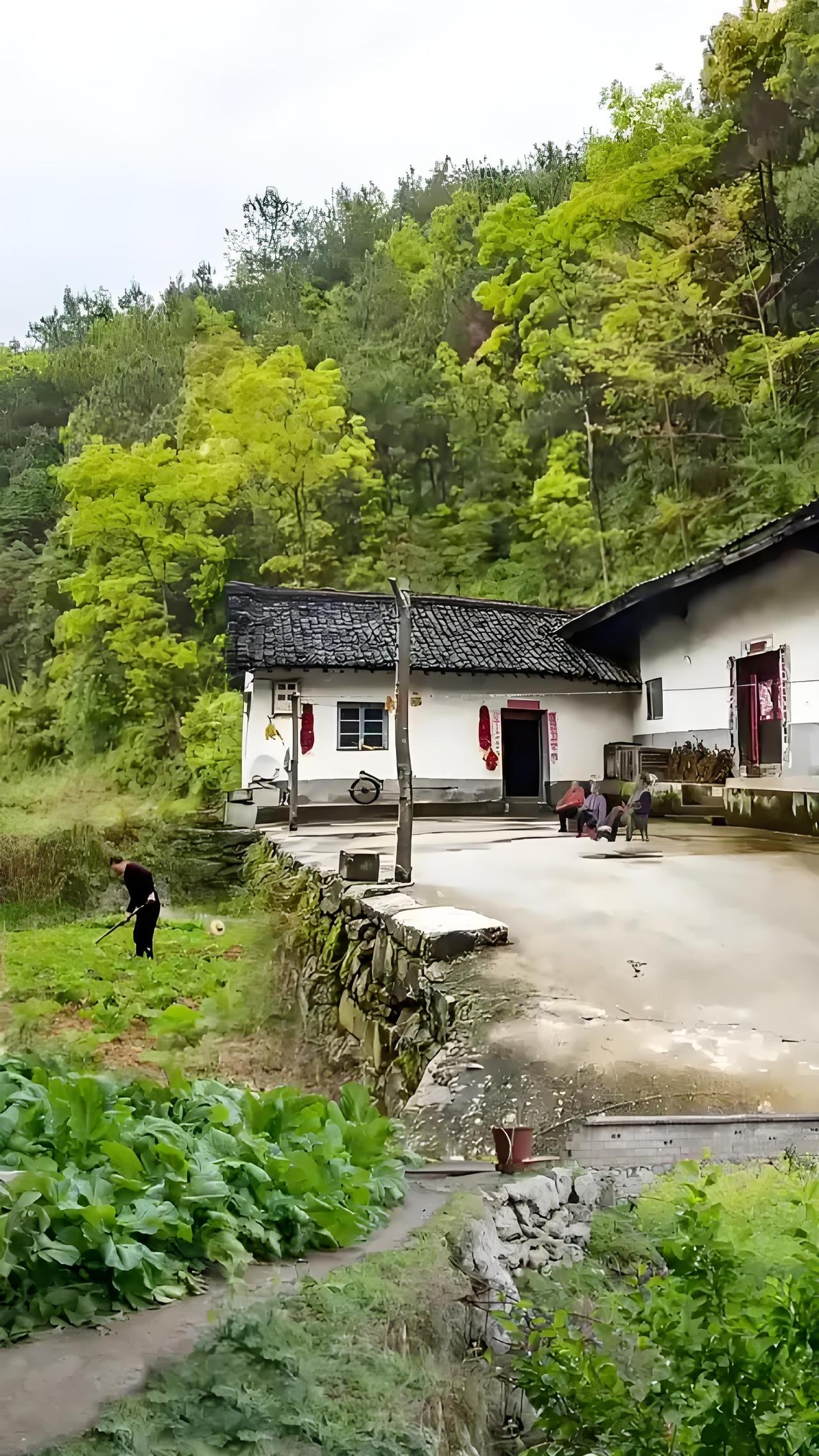 不知道你们注意过没有，农村有些七八十岁的老人，为什么还在种地？我老家的邻居，