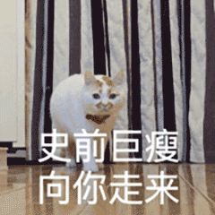 原来猫下手知道分轻重啊，所以你的意思是说我家的猫是故意打我的喽！不行，我不接受。