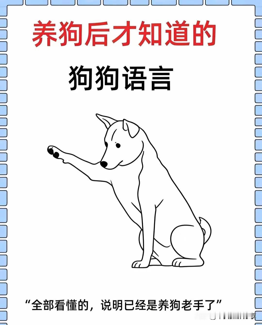 养狗狗的都知道，狗言狗语。狗狗语即人心狗语解读狗语录狗犬养犬狗狗交流