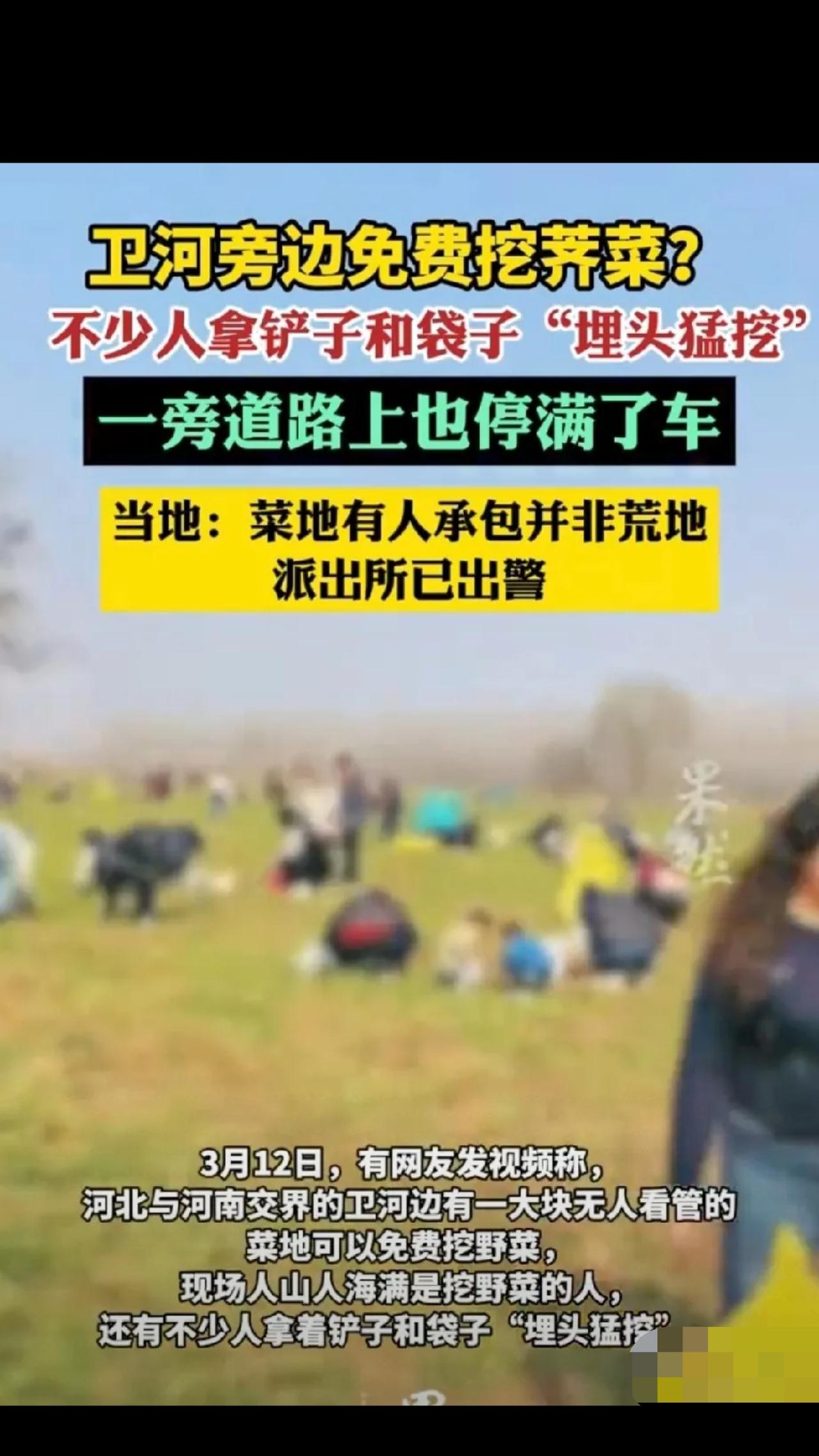 河南，一男子见地里的荠菜长得正旺，他以为没人看管，可以随便挖，便拍了条视频发到网