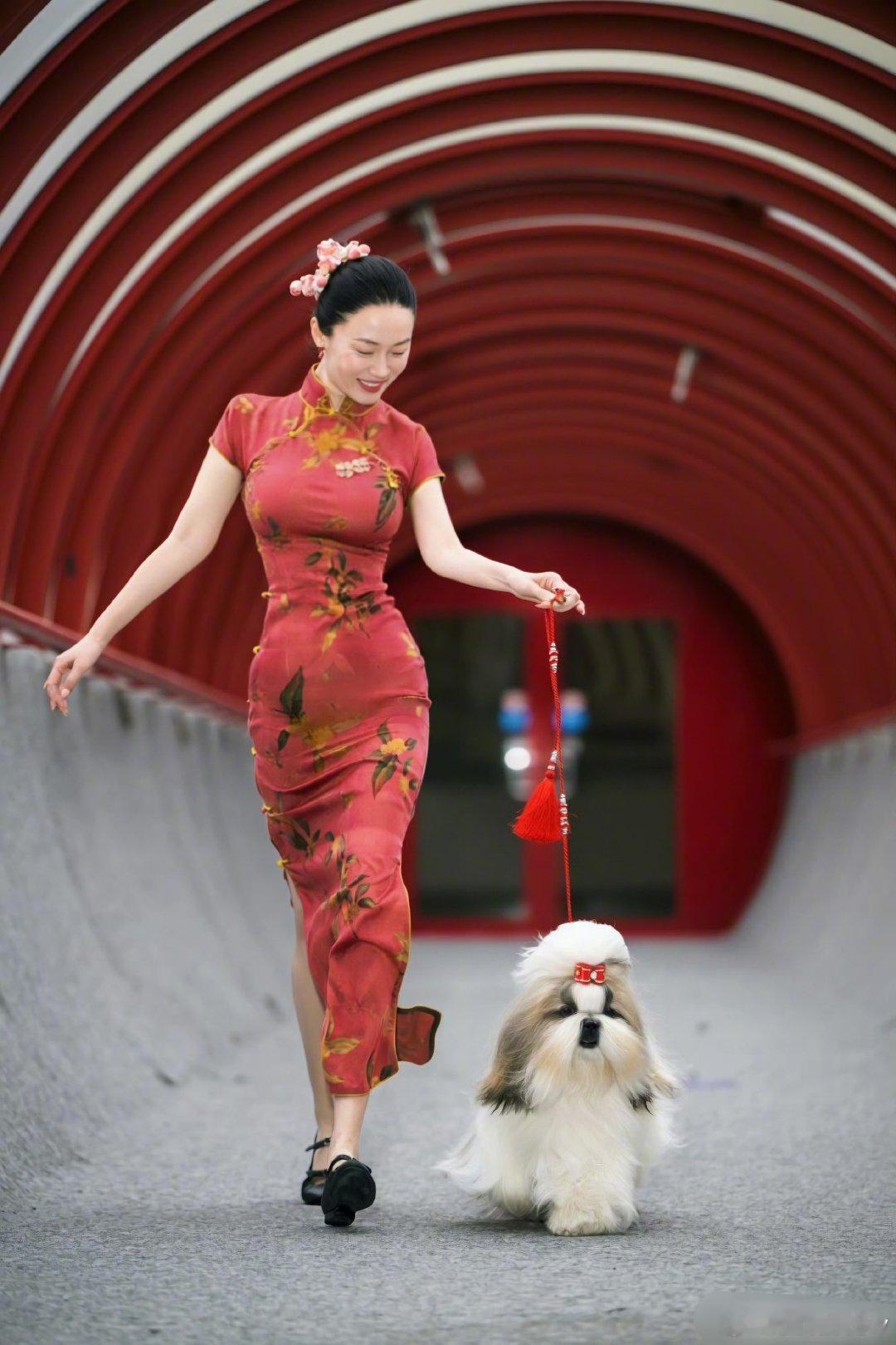 霍思燕爱犬在国际比赛夺冠原谅我孤陋寡闻了，这个夺冠了能干啥，奖励冻干吗