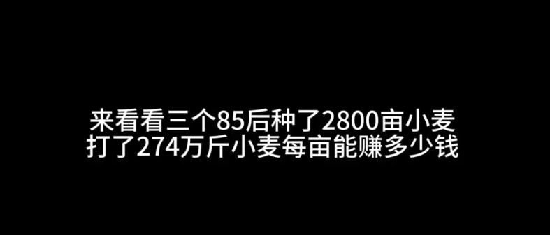 安徽三位85后小伙承包2930亩土地种小麦历时223天的种地过程中共计投入