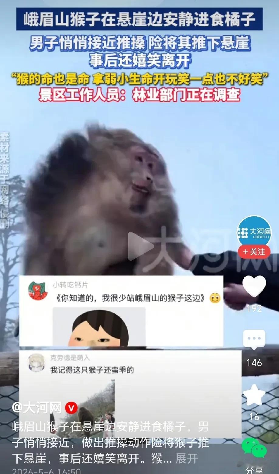 “太缺德了！”四川峨眉山，猴子坐在悬崖边吃橘子，当时它吃得正香，一个男人悄悄的从