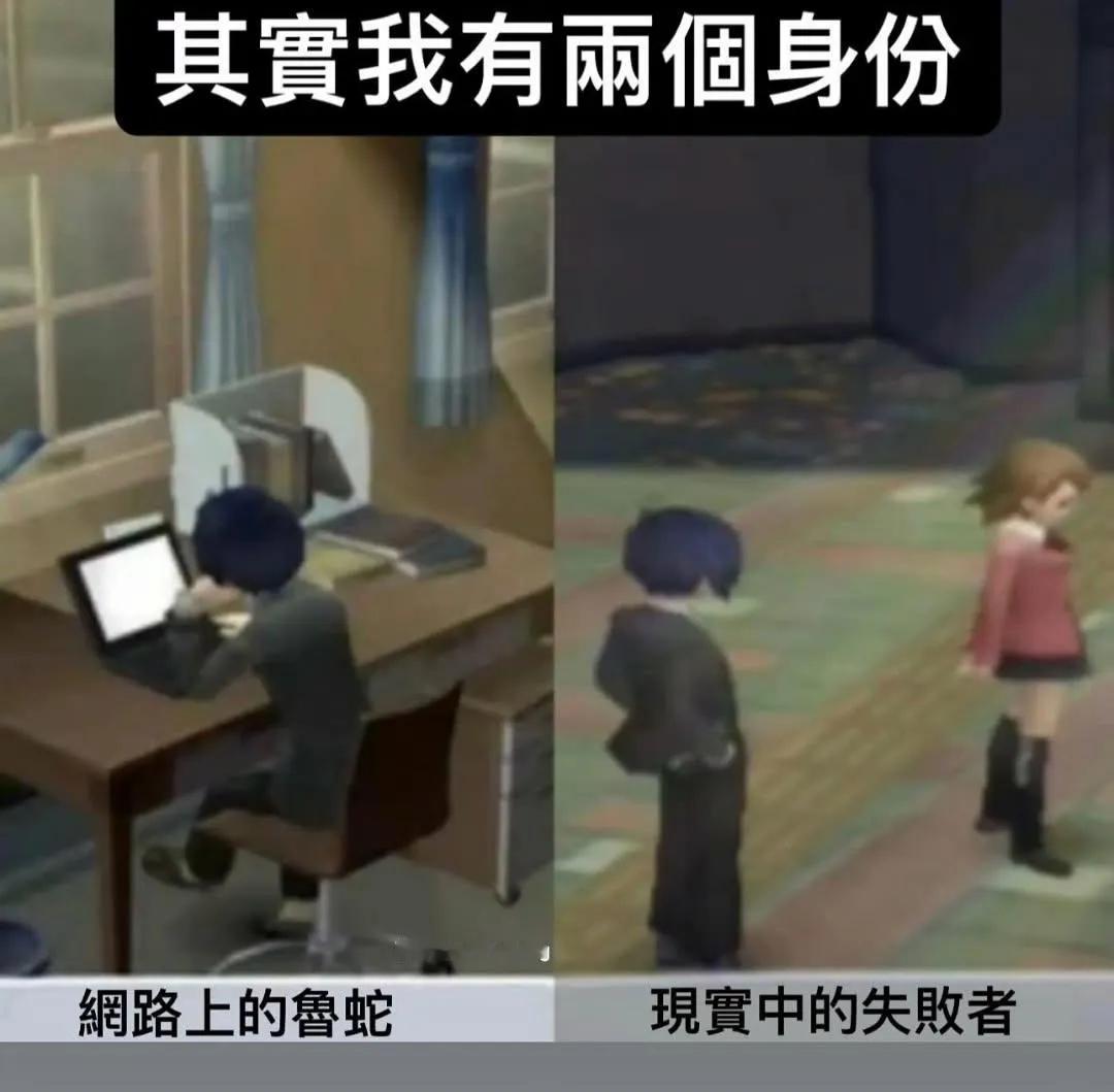 双面人生memes