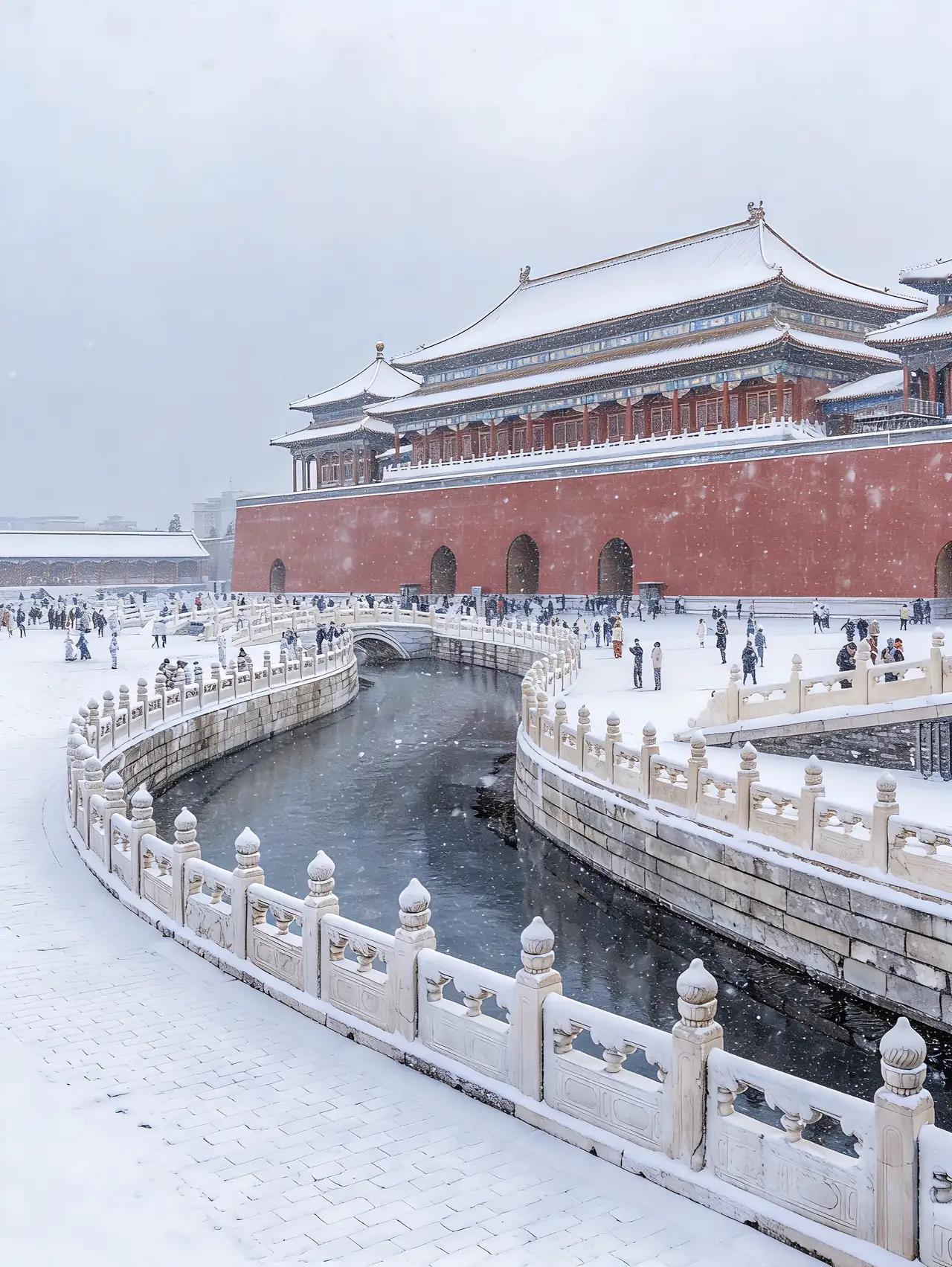 北京的雪如约而至！那雪成片成片地，悠悠地、沉沉地，从望不见尽头的云层深处飘洒下