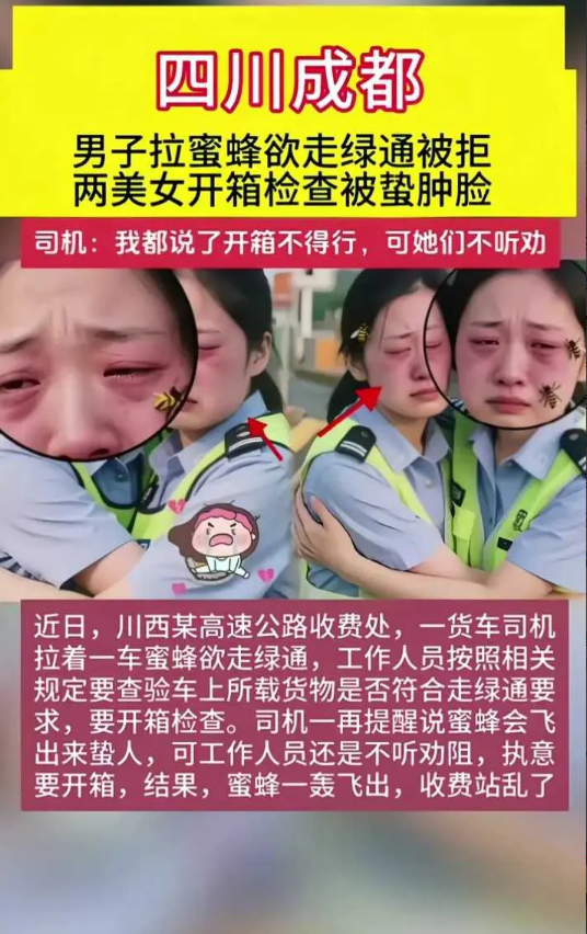 哈哈哈，真为司机出了口气😂·