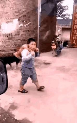 这个小胖子男孩倒背一只狗狗，得意洋洋走在路上。一位开车阿姨说了一句：小朋友要爱