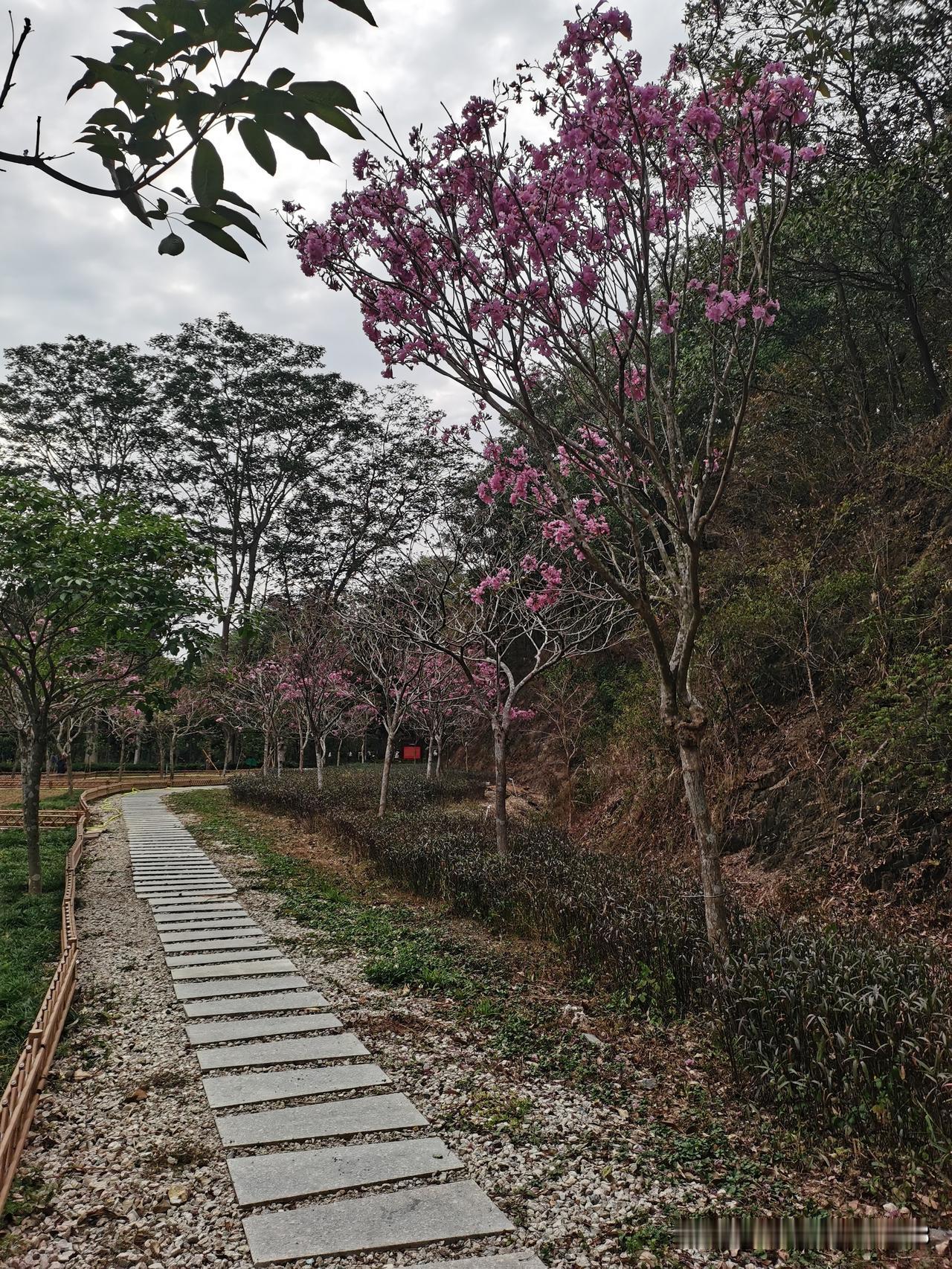 姐姐家每年都因为姐夫的大哥借钱而吵架。每年过年前姐夫的大哥都来借钱，借不多，几百