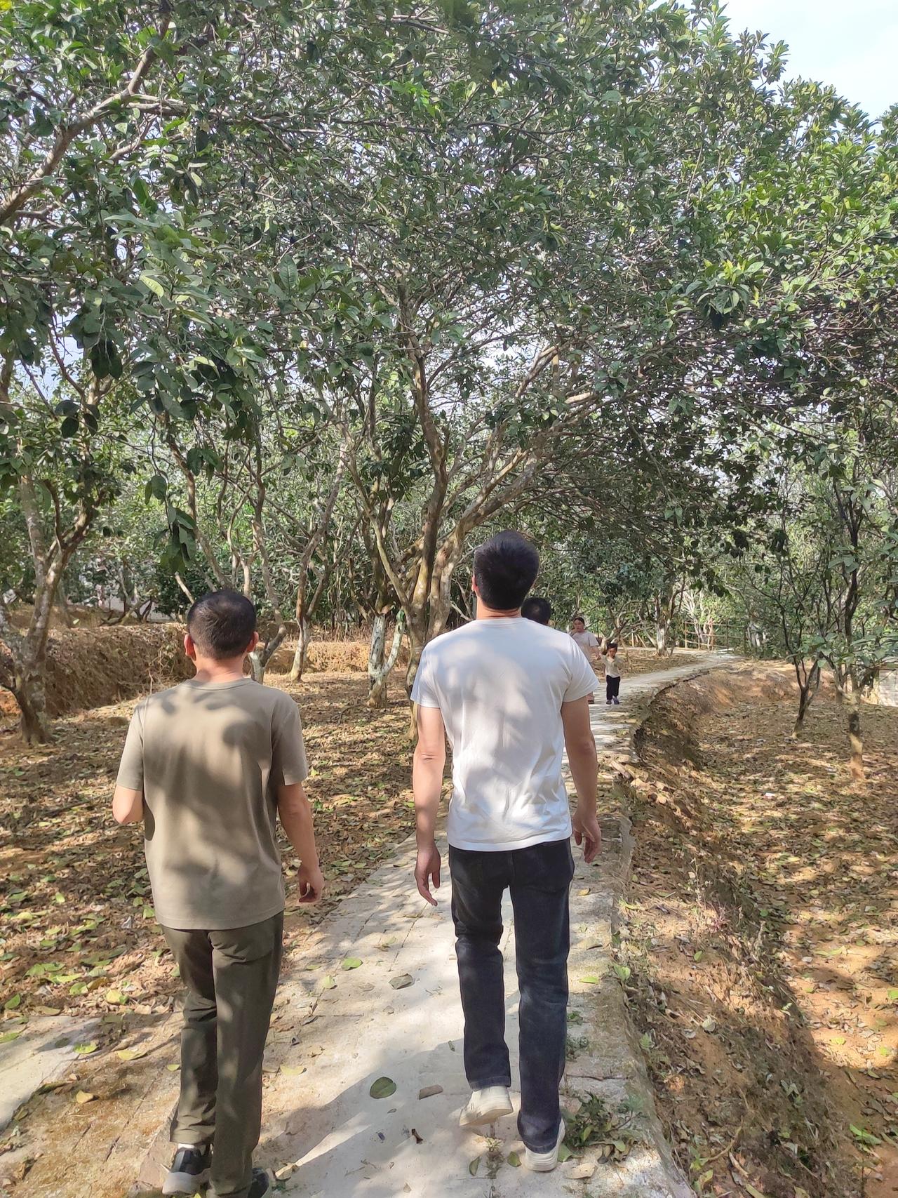 悠闲漫步在林间小道，享受大自然的宁静与美好。🍃🌳🍂