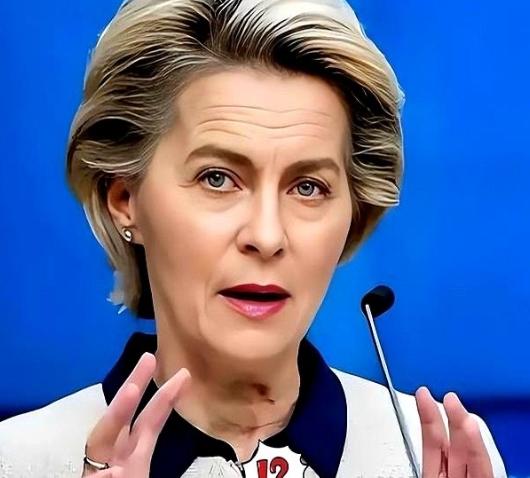 冯德莱恩傻眼了！本想制裁俄罗斯时敲打中国，却反倒伤了自家命门“24小时闪电反