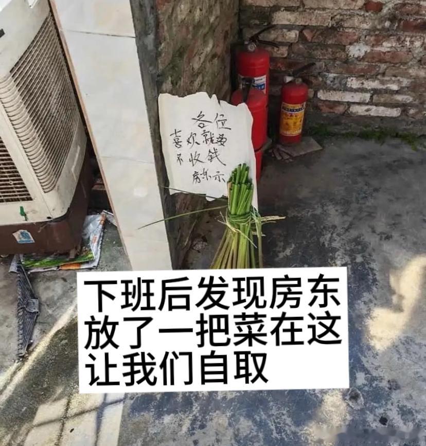 论在外租房有位好房东的重要性