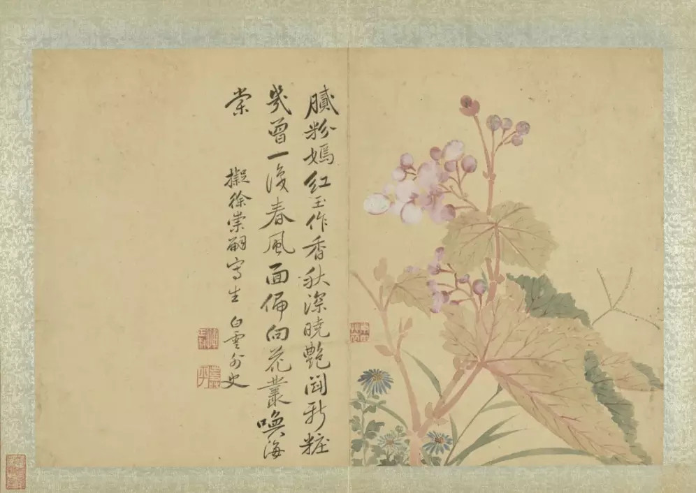 恽寿平花卉八帧册。恽寿平（1633年-1690年）是一位才华横溢的清代画家，江