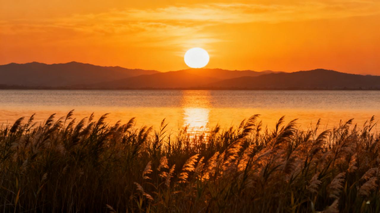 不必追赶日月，只需静待余晖。看芦苇轻摇，听水波无声，远山含黛，晚霞漫天，原来最治