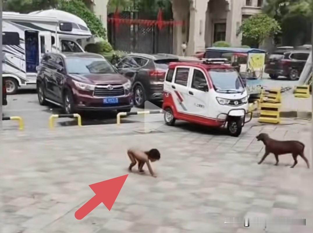 “野人小孩”这事，我惊讶的是为什么到现在才会引起社会舆论的关注。从各种网络