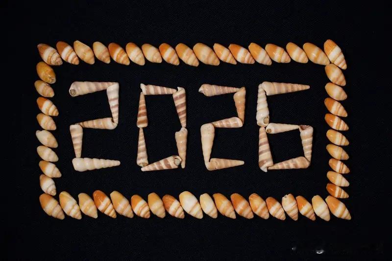 家人们，2026年摩羯座的运势简直值得好好说道！这一年可是摩羯至关重要的转折年，