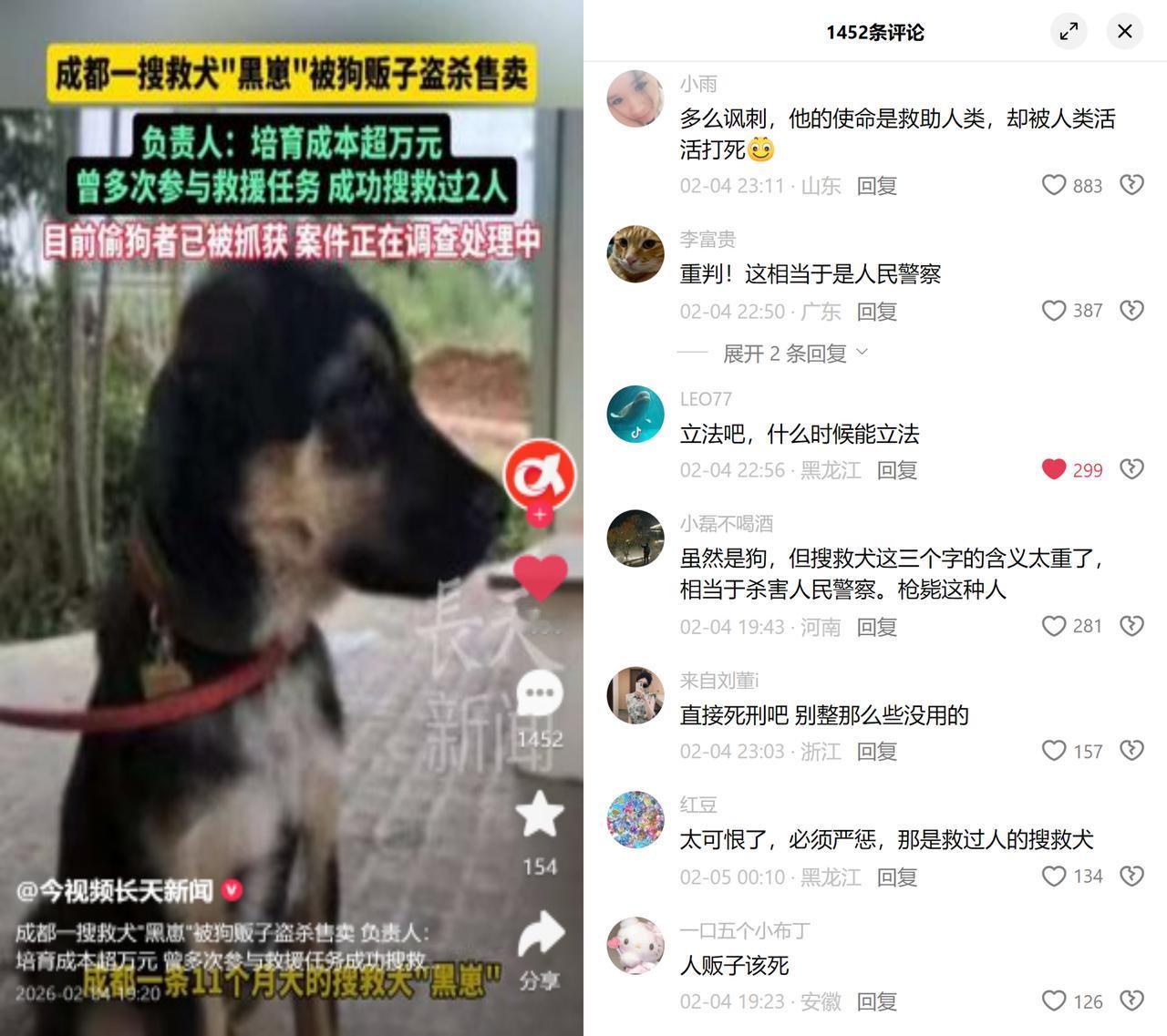 救过人的搜救犬，被偷去卖狗肉11个月大的黑崽刚救过两个人，却在基地外如厕