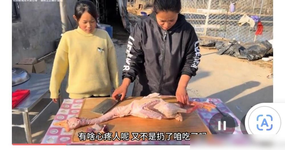 李佳瞅着案板上的大鹅，心里充满着五味杂陈，也是心疼大鹅被狗咬死了，觉得怪可惜的。