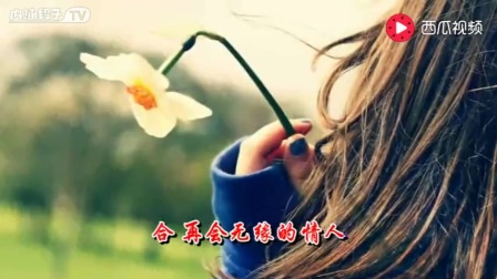 再会无缘的情人简谱_再会无缘的情人 柔情