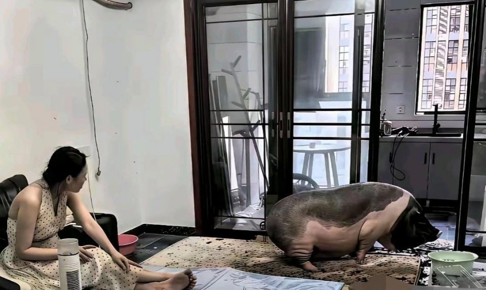 天呐，这种可真接受不了