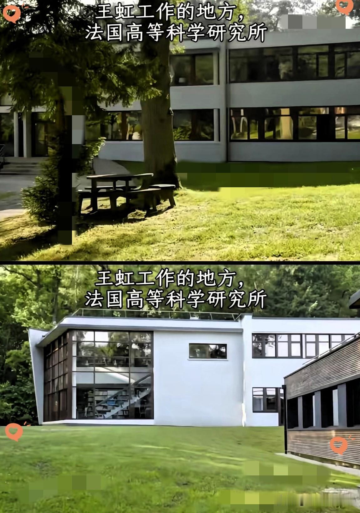 看了王虹在法国的工作环境，​我彻底破防了，​有25亩的森林公园就算了，还没有