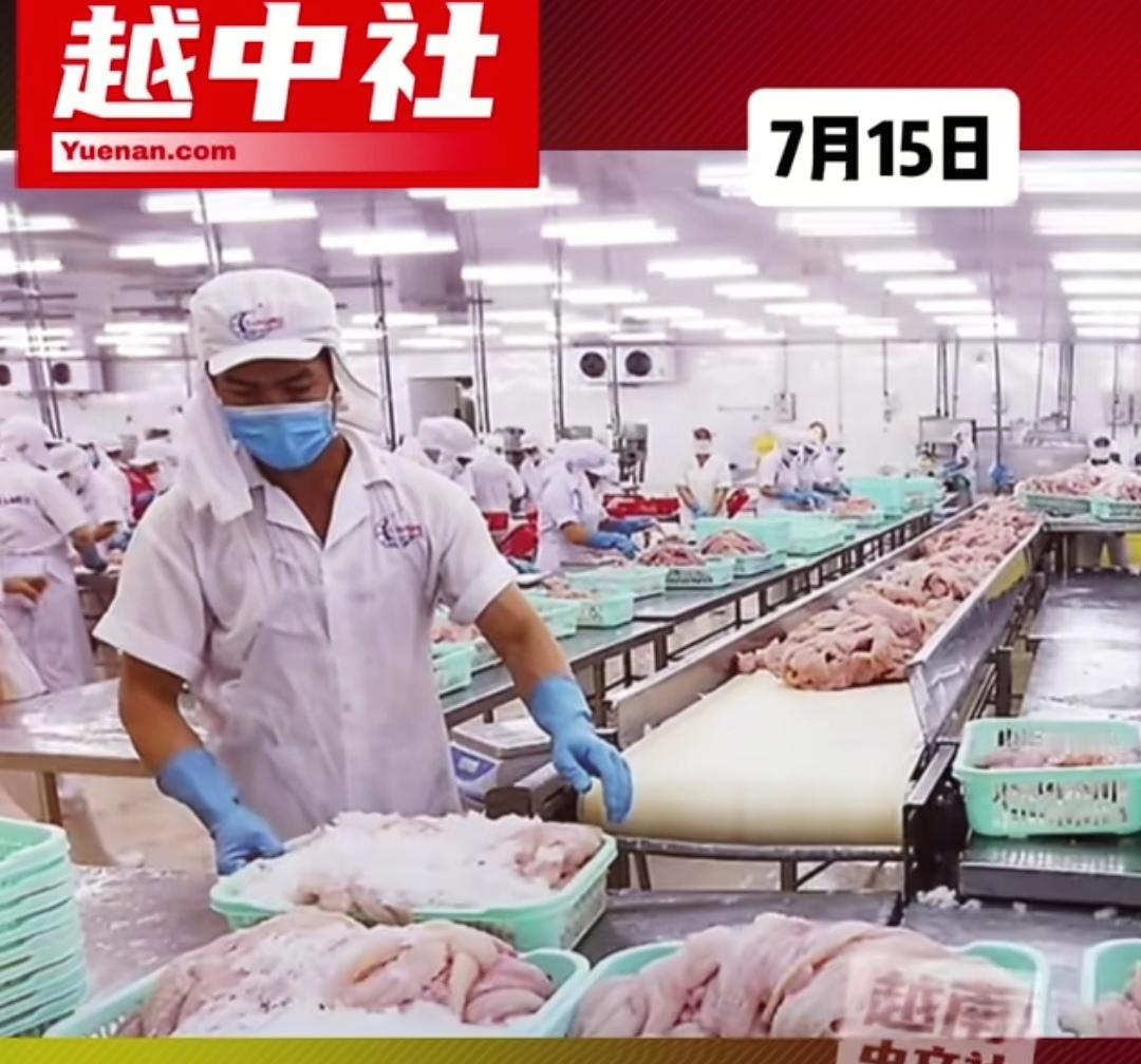 中国正式超过美国，成为越南水产品最大进口市场，仅2026上半年便豪掷94亿人民币