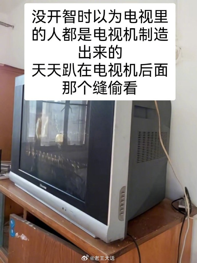 尚未开智的那些年