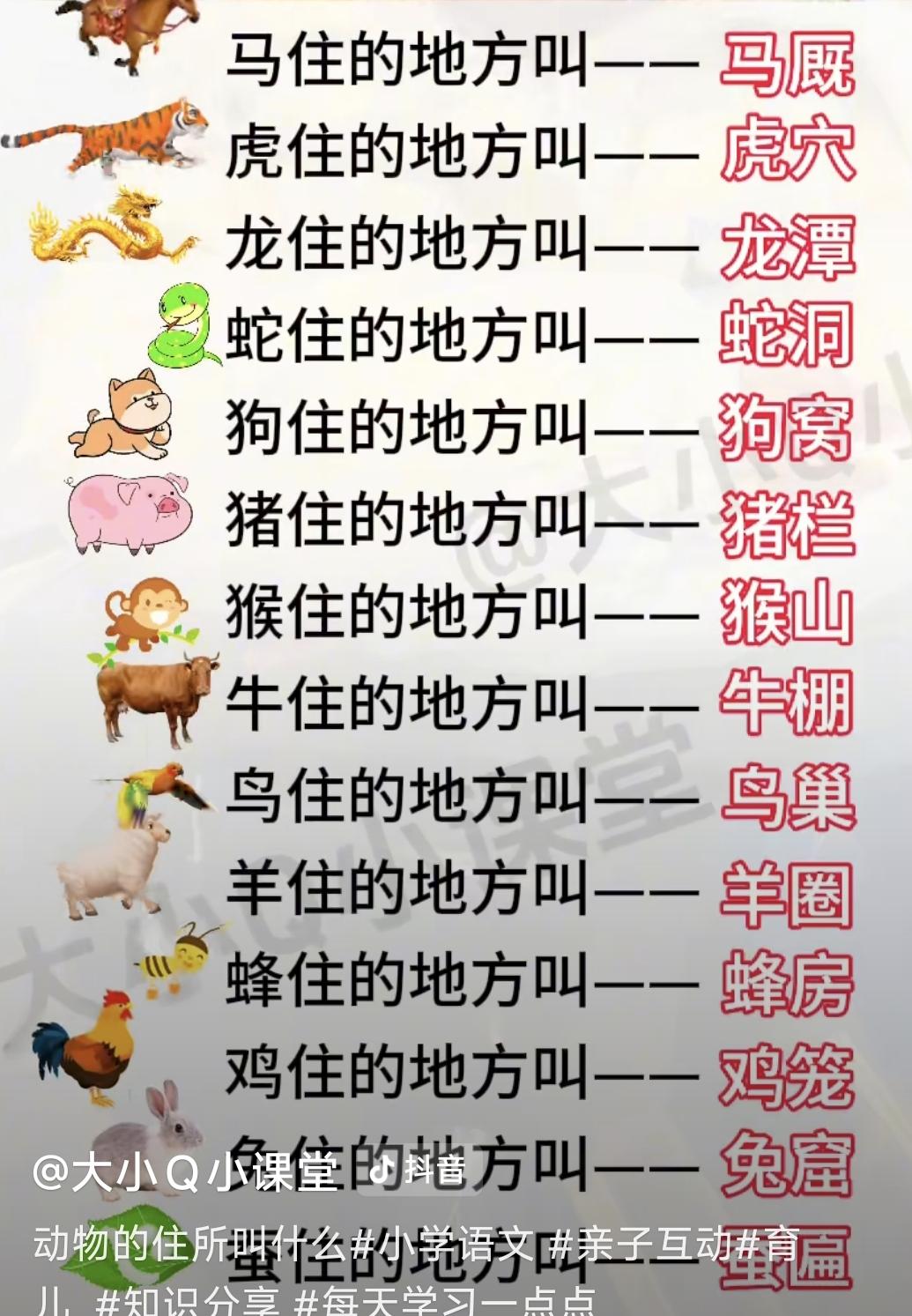 各种动物住的地方叫法