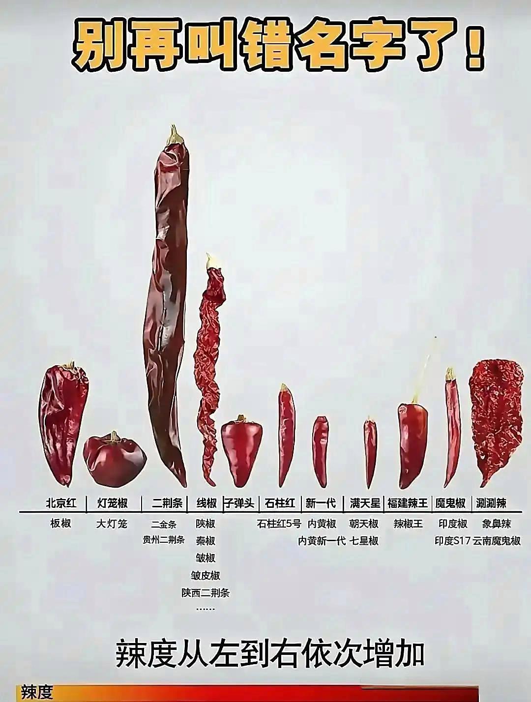吃了这么多年的辣椒，才知道有这么多的名字！