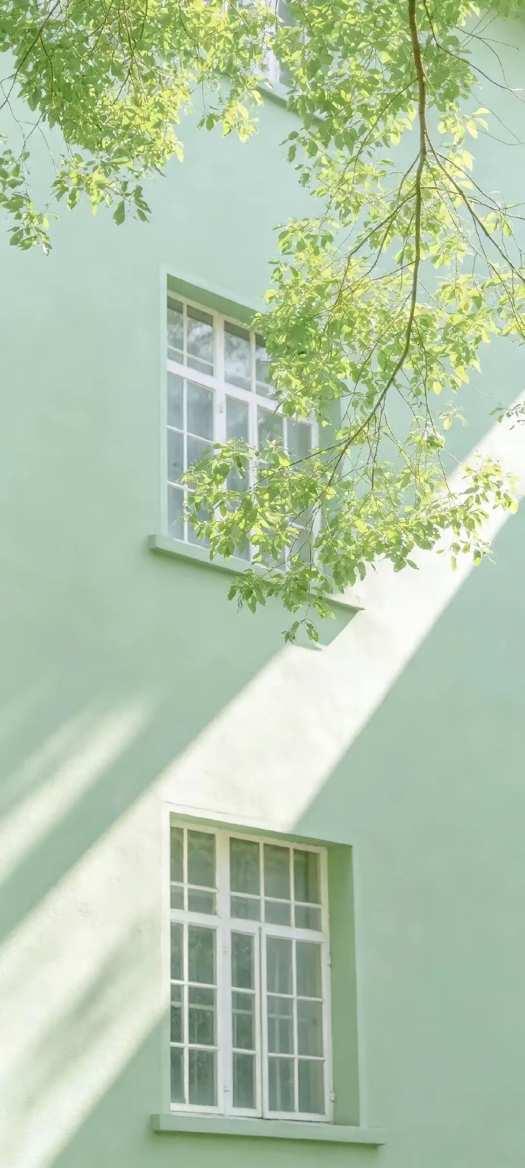 “手机锁屏壁纸｜绿野。”