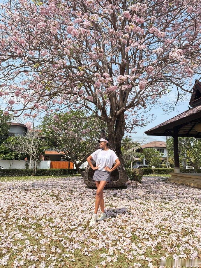 瞿颖回应翻红瞿颖风铃花树又开满枝头了发文：“今年的风铃花树又开满枝头了，和当