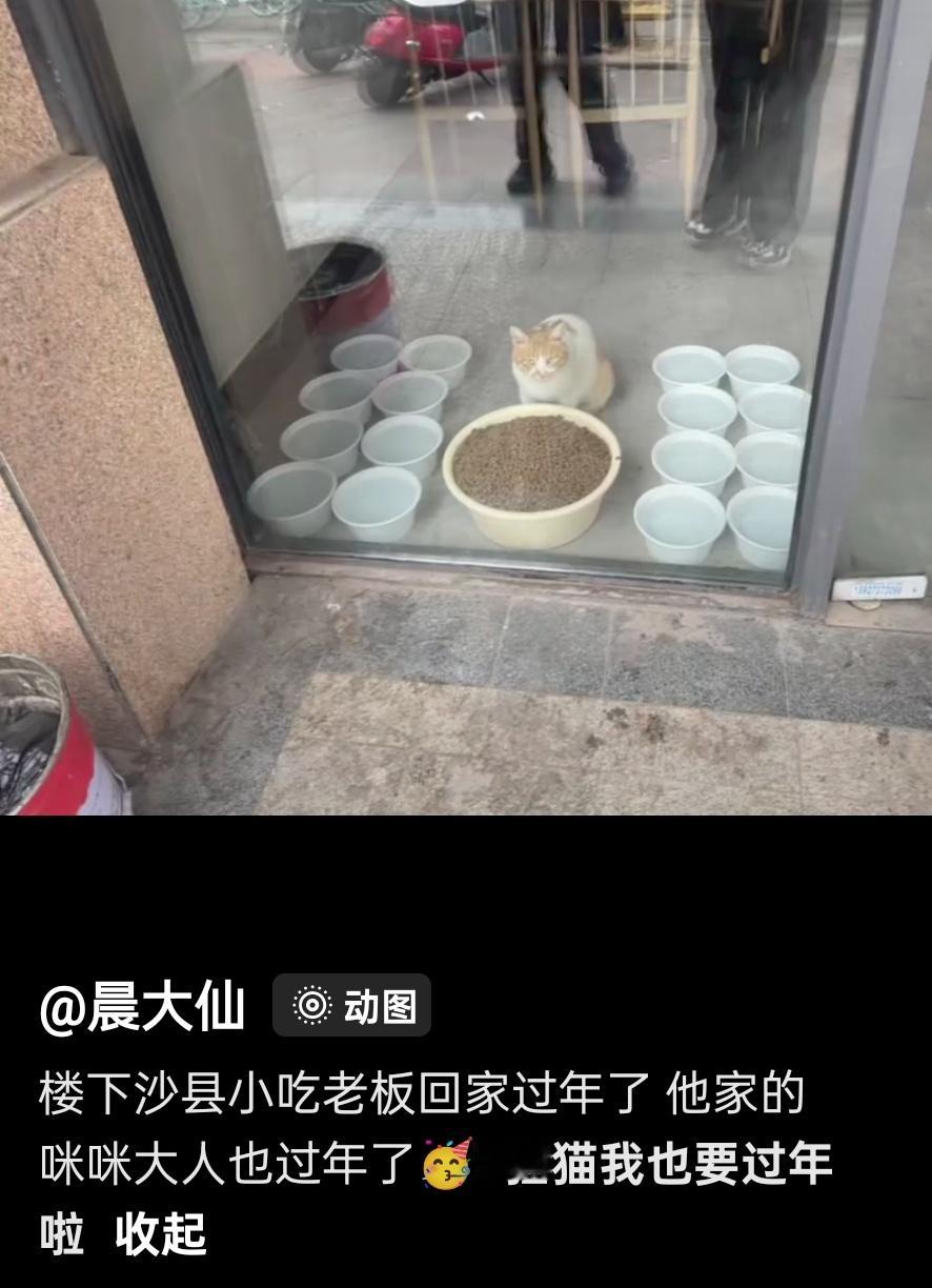 原来是留了门，给外面的流浪猫随时进去吃喝的