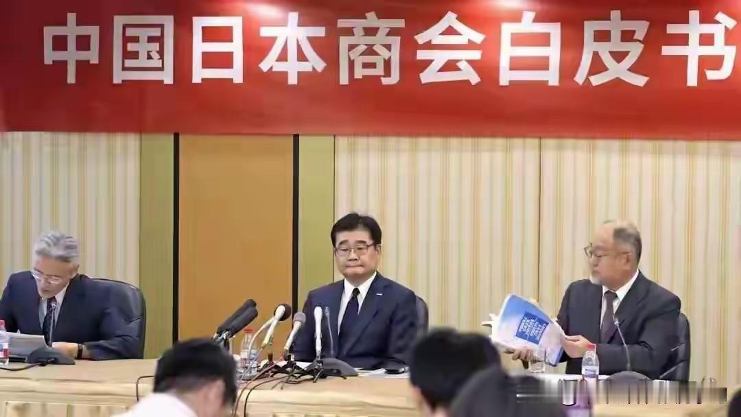 日企“联手施压”的背后，彻底暴露了对中国市场和稀土供应链的致命依赖，所谓的施压不