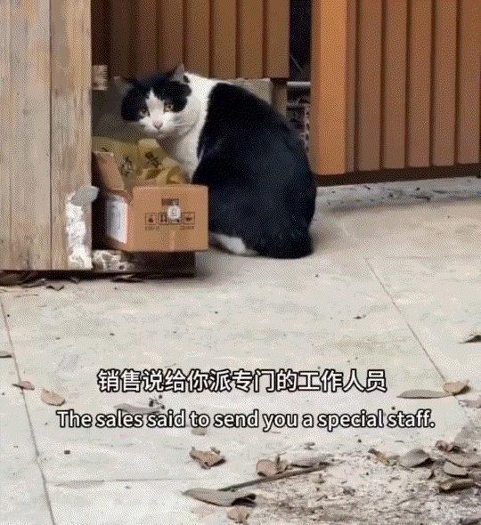 万万没有想到，贵州，一女子买了一楼房子，结果搬进去后，她竟发现屋里跑进了老鼠，无