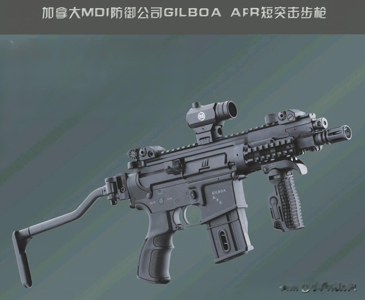 加拿大MDI防御公司GILBOAAPR短突击步枪吉尔博亚APR短突击步枪，是