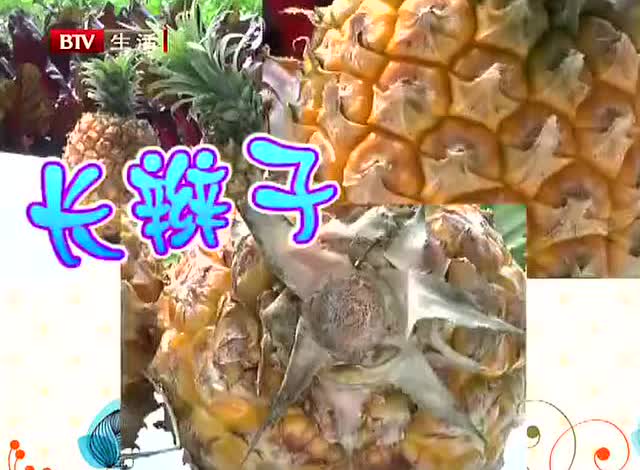 怎么挑选菠萝肉多又甜 5561923727084327773.jpeg?id=0