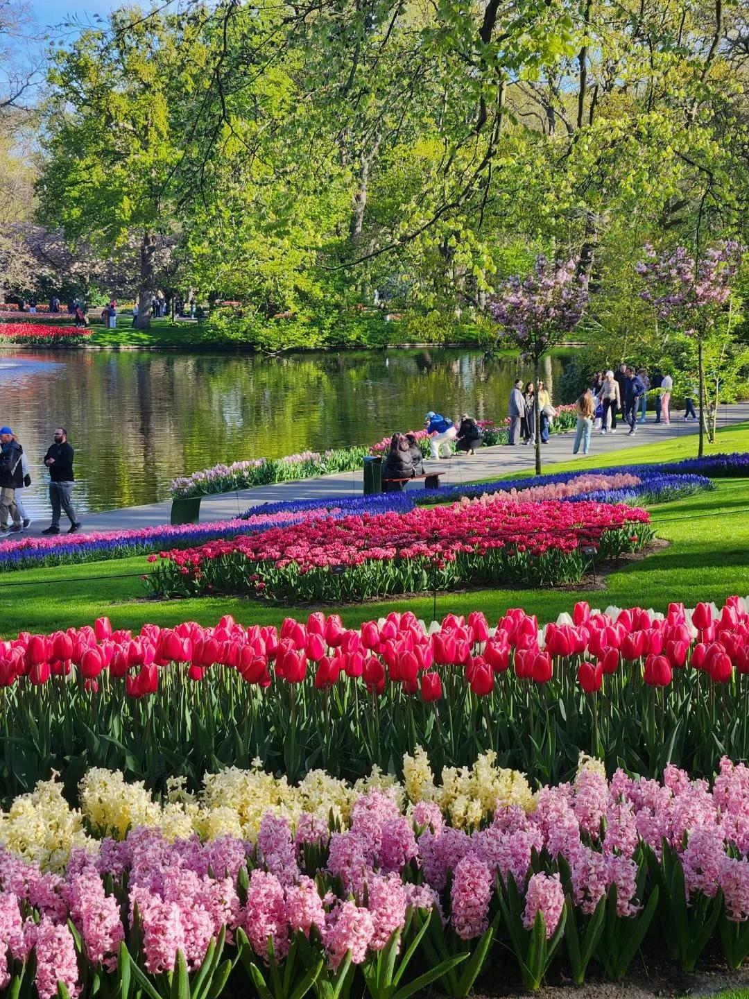 碰到一个学生家长，孩子在南京上的是比较弱的那种三星级高中，其实南京的三星级高中应