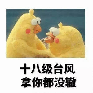 石家庄一个台风来了都要绕道走的城市