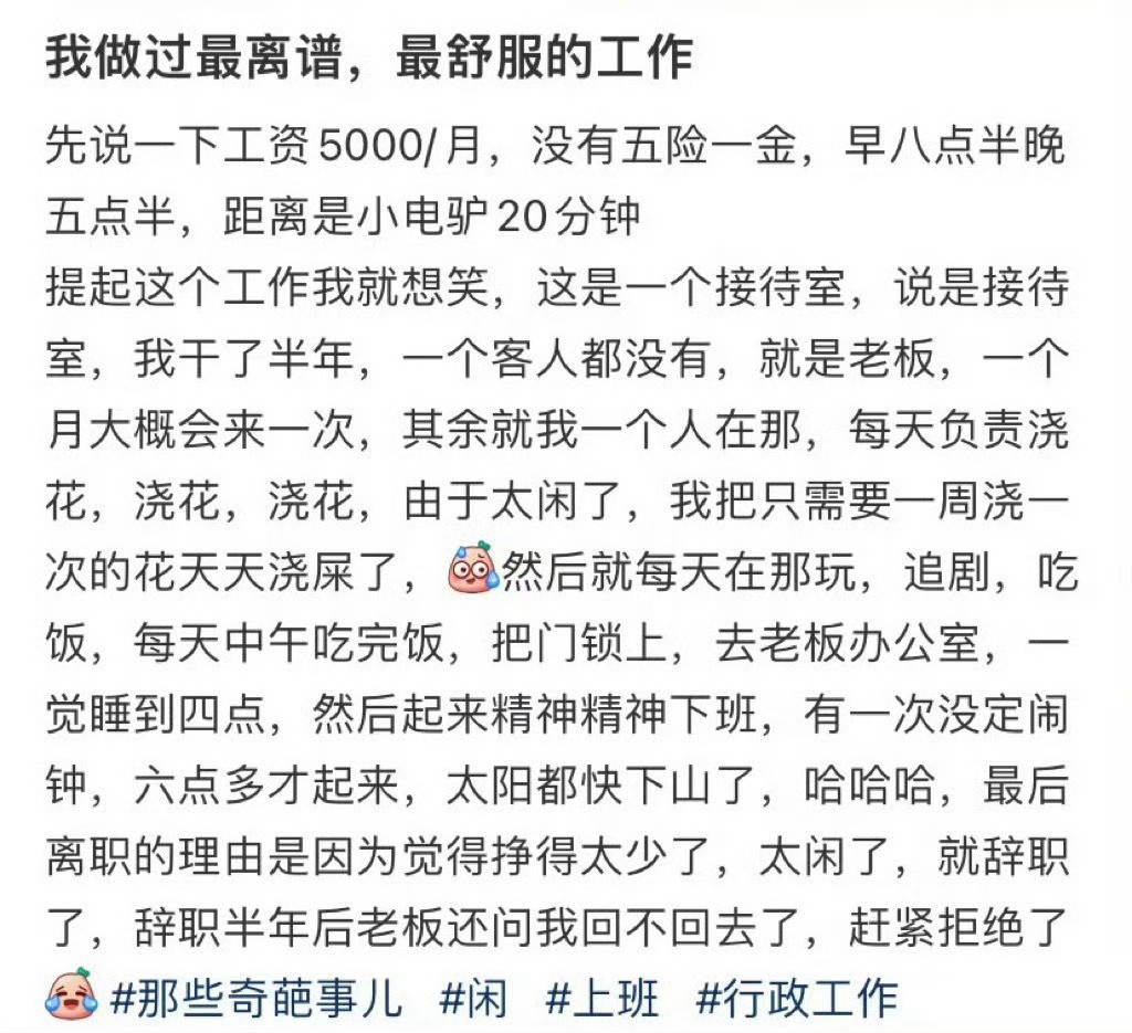 我做过最离谱，最舒服的工作。​​​