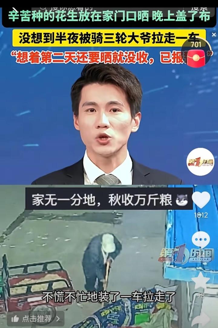胆子太大了!河南濮阳，一农户把刚收的花生摊在自家门口晾晒，想着第二天还得接着晒，