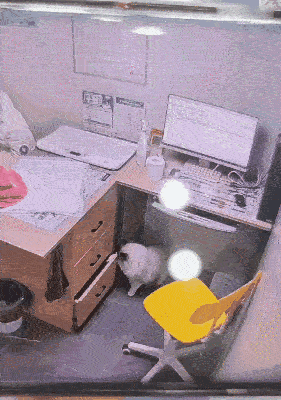 这一幕够拍十集走近科学！