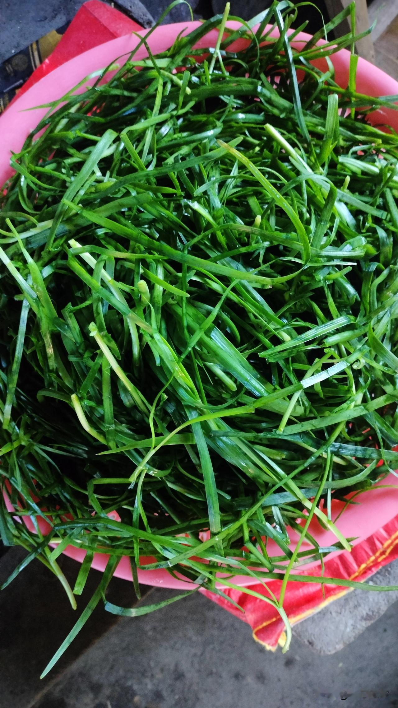 我想问一句，谁家也有把韭菜洗成这样的同款老公不？我无语死了，说了N次别像搓衣服一